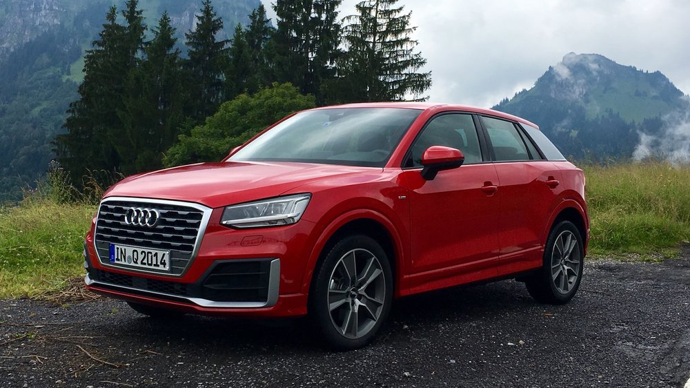 Audi Q2 in a jungle